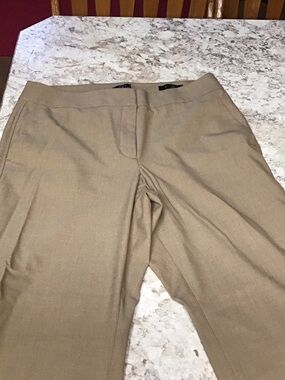 LOFT Men's Khaki Tan Chinos